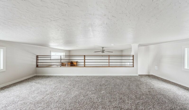 The Timberland (Model APH-529) full